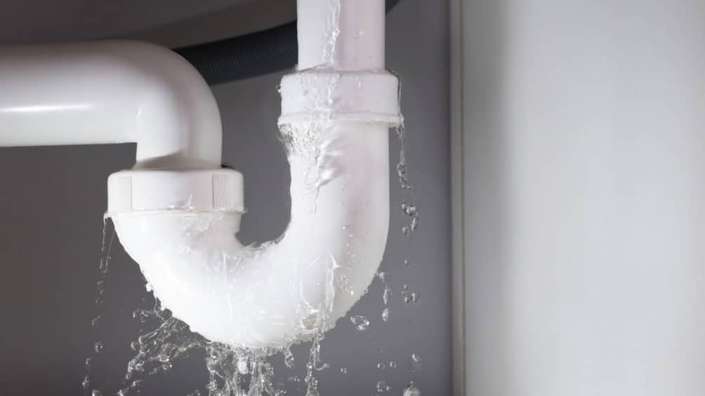 Drain leak problems like this one require the immediate help of an experienced plumber here in Buffalo.
