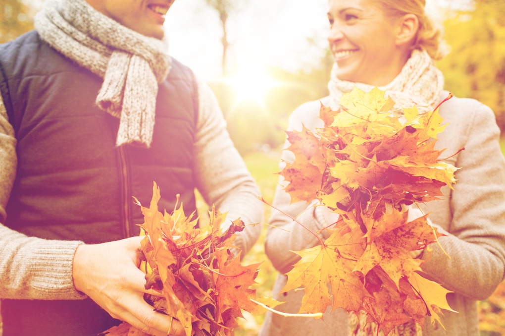 How to Keep Leaves out of Your HVAC System