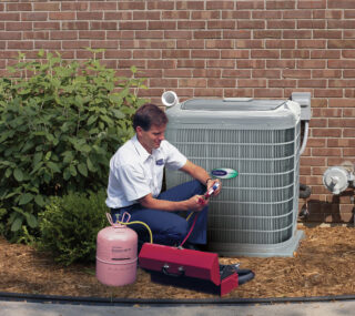 Landscaping Ideas for Around your AC Unit